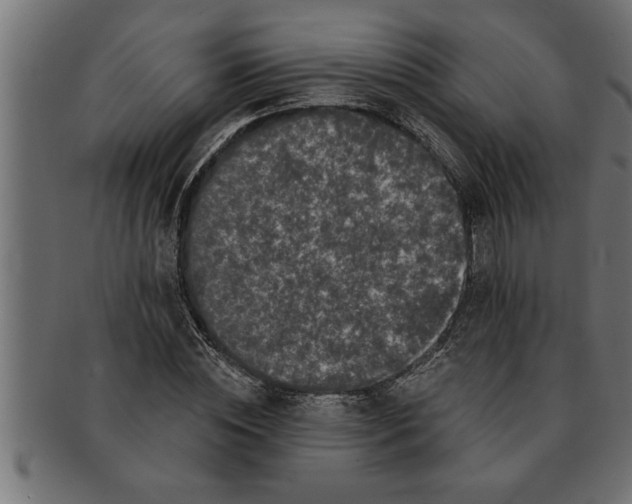 X0000091670828200709201217