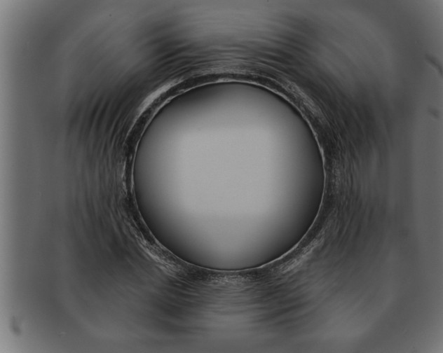 X0000091670830200709201217