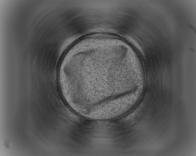 X0000091670831200709201217