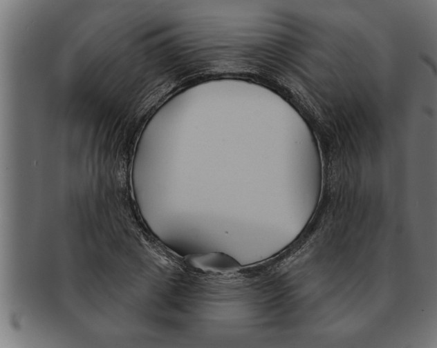 X0000091670833200709201217