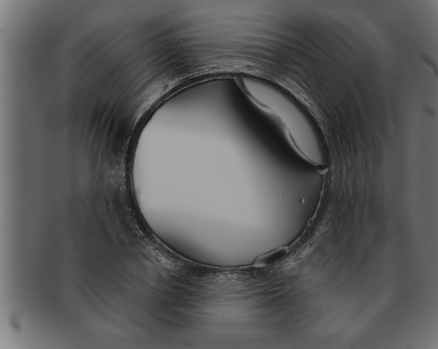 X0000091670834200709201217