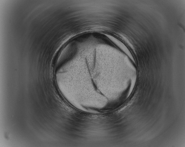 X0000091670835200709201217