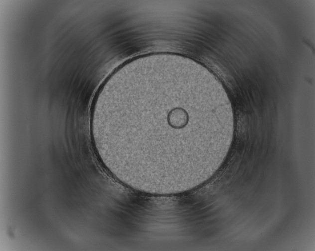 X0000091670836200709201217