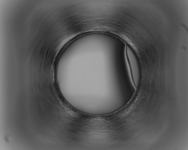 X0000091670838200709201217