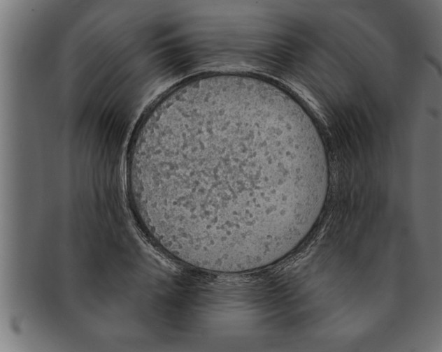 X0000091670840200709201217