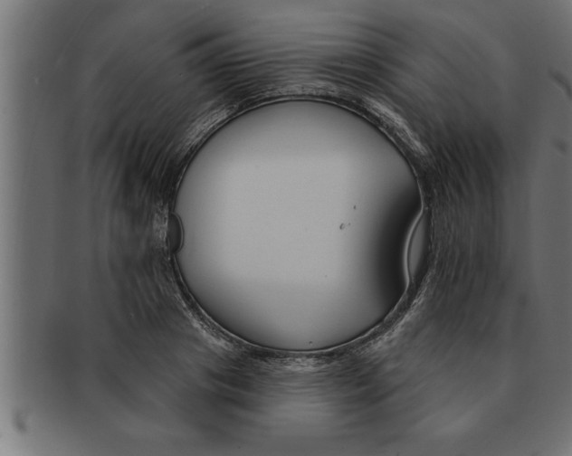 X0000091670841200709201217