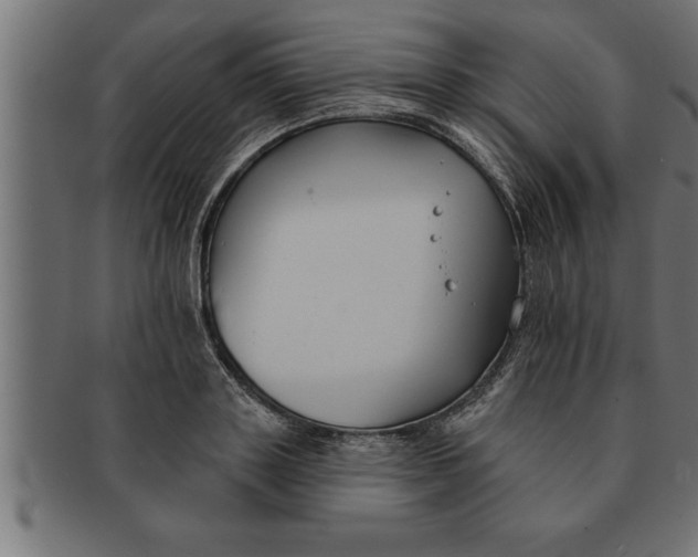 X0000091670843200709201218