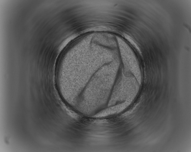 X0000091670845200709201218