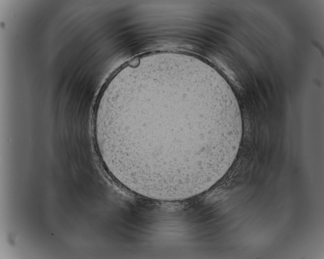 X0000091670848200709201218