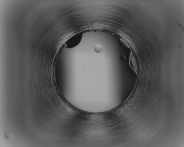 X0000091670850200709201218