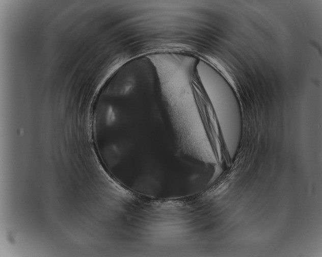 X0000091670851200709201218