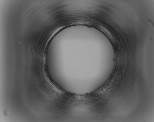 X0000091670852200709201218