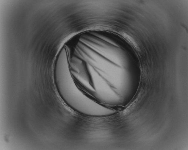 X0000091670854200709201218