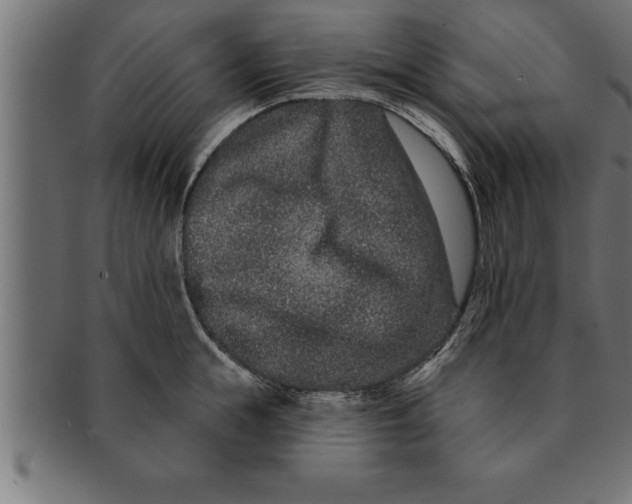 X0000091670855200709201218