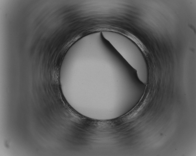 X0000091670857200709201218