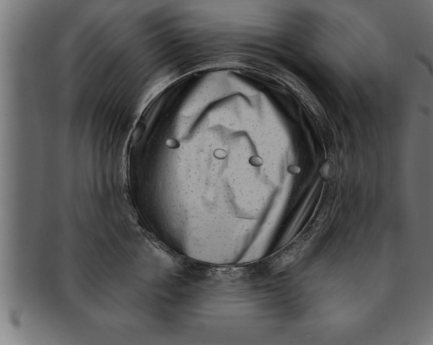 X0000091670858200709201218