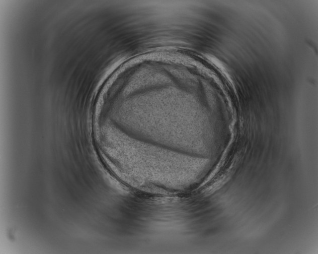 X0000091670859200709201218