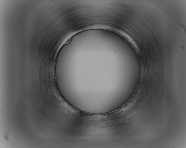 X0000091670860200709201218