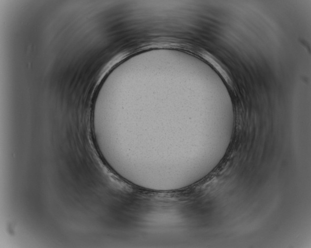 X0000091670861200709201218