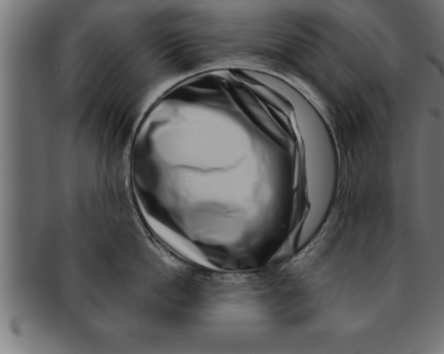 X0000091670862200709201218