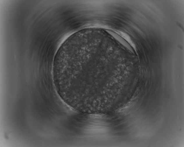 X0000091670863200709201218