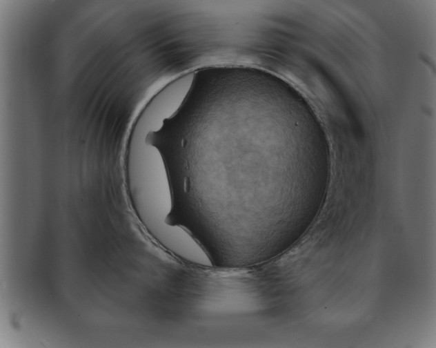 X0000091670864200709201218