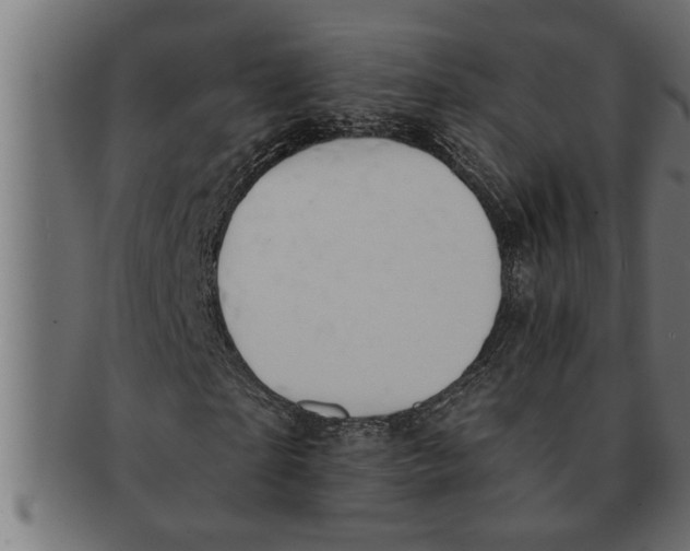 X0000091670865200709201217