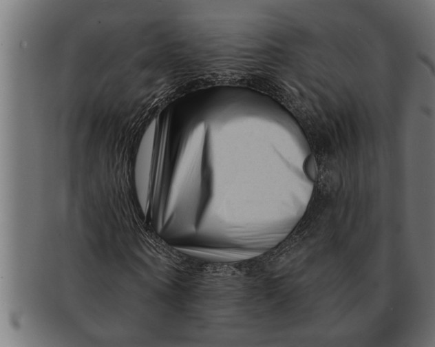 X0000091670866200709201217