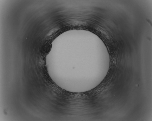 X0000091670869200709201217