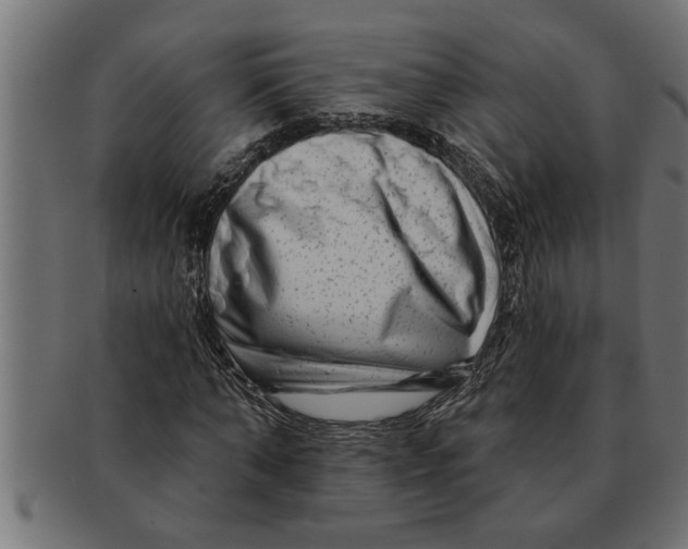 X0000091670870200709201217