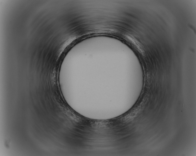 X0000091670875200709201217