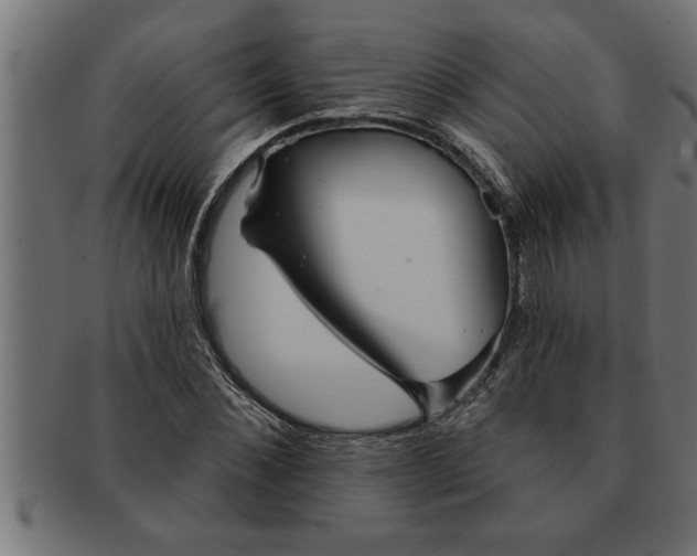 X0000091670876200709201217