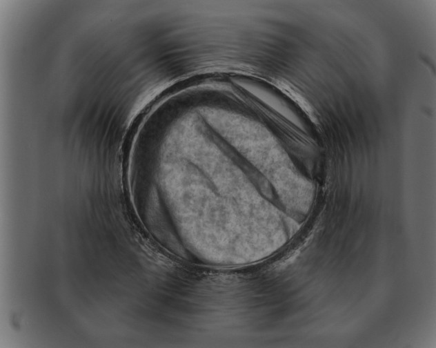 X0000091670877200709201217