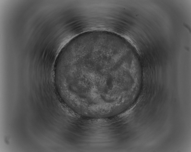 X0000091670879200709201217