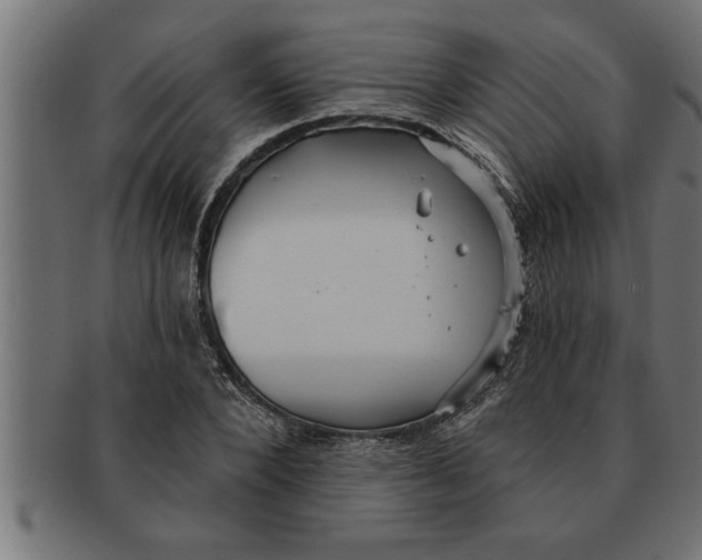 X0000091670880200709201217