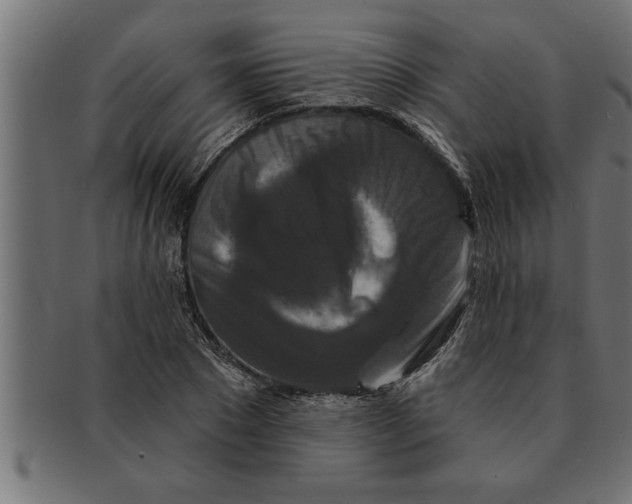 X0000091670881200709201217