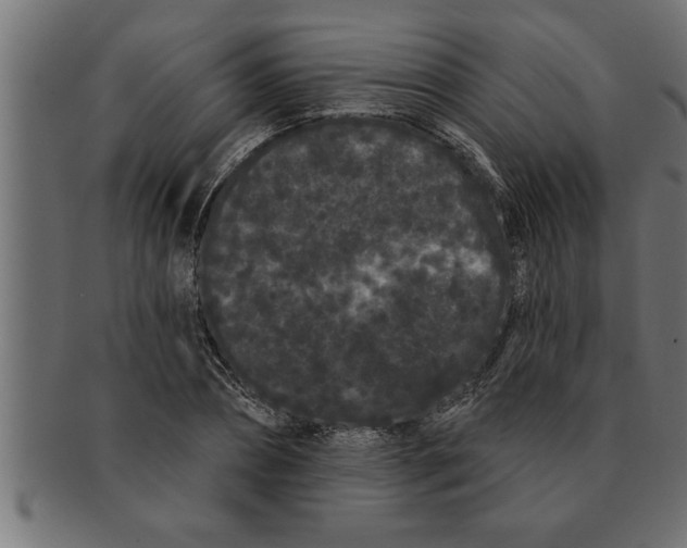 X0000091670882200709201217