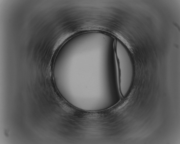 X0000091670885200709201217