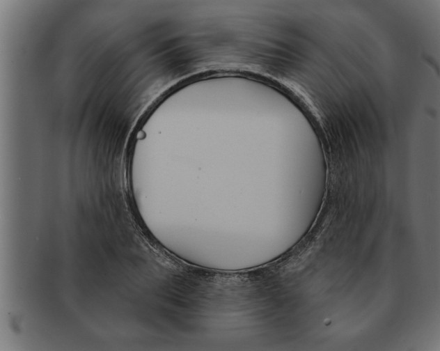 X0000091670887200709201217