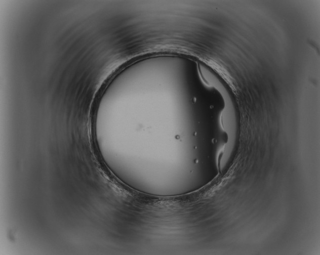 X0000091670888200709201217