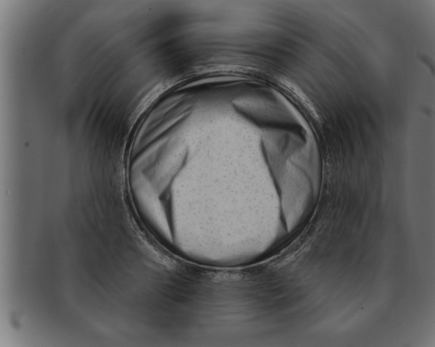 X0000091670890200709201217