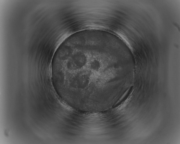 X0000091670891200709201217