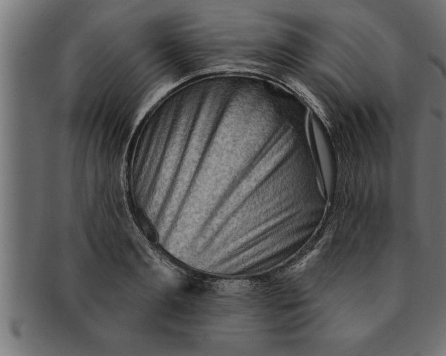 X0000091670893200709201217