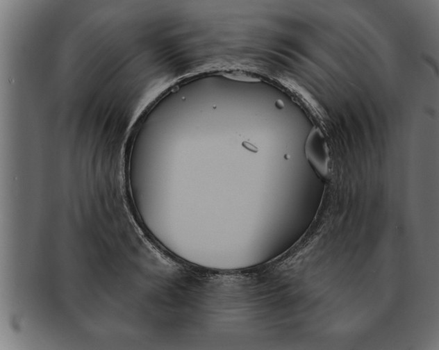 X0000091670894200709201217