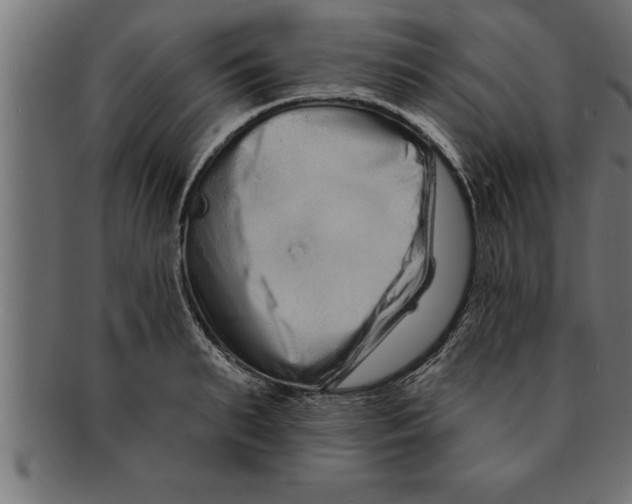 X0000091670895200709201217