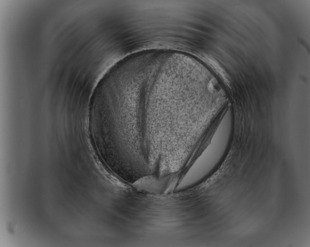 X0000091670896200709201217