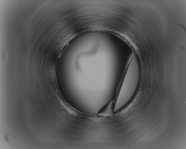 X0000091670897200709201217