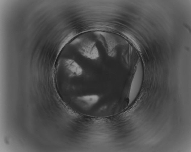 X0000091670899200709201217