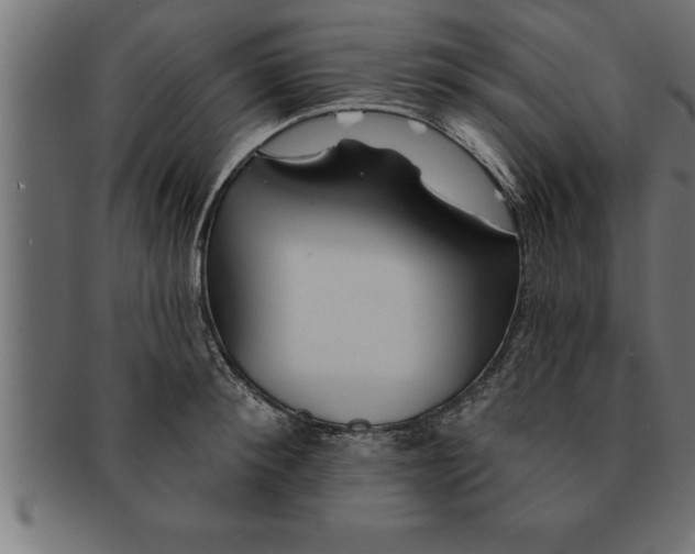 X0000091670900200709201217