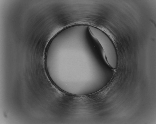 X0000091670902200709201217